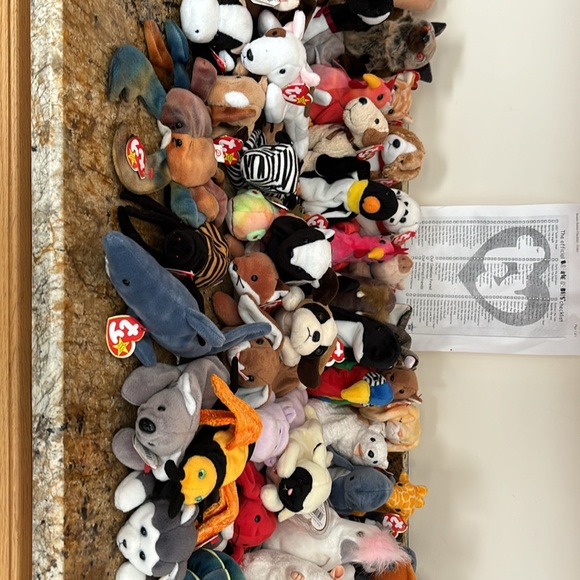 Beanie babies - Picture 7 of 8